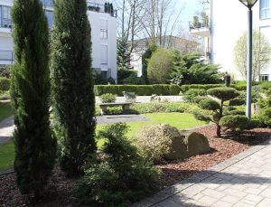 Objektbetreuung, gepflegte Gartenanlage in Köln, Vorgarten